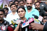 Viveka Murder Probe, Viveka Murder Probe news, viveka murder probe sharmila s sensational comments, Sharmila