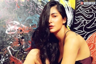 Shruti Haasan to be trained in Mixed Martial Arts