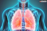 Lung Cancer deaths, Lung Cancer latest, signs to know about lung cancer, Health care