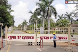 Sterlite Moves To Madras High Court To Restore Power Supply