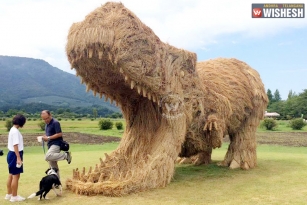 Straw Dinosaurs in Japanese fields