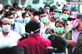 Treatment, Swine Flu cases, 210 cases of swine flu registered in hyderabad, Swine flu cases