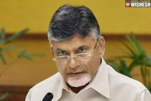 TDP Announces 25 Candidates For Lok Sabha Polls