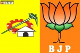 BJP updates, Bharatiya Janatha Party, tdp and bjp will contest together in 2019, Together