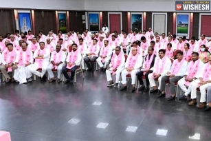 All TRS MLAs To Join Munugode Campaign
