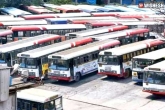 Hyderabad city buses new updates, Hyderabad city buses breaking news, after 185 days hyderabad city buses to resume operations, Services