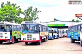 TSRTC resumption, Hyderabad city services, tsrtc resumes suburban and mofussil services in hyderabad, Tsr