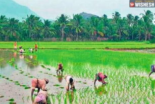 Telangana Agriculture Department Bags India Today Agri Award