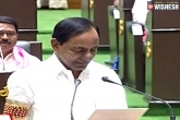 Telangana MLAs, Telangana MLAs, telangana mlas take oath in assembly, Ap assembly updates