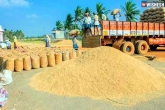Telangana Paddy new updates, Telangana agriculture, demand for telangana paddy, Add