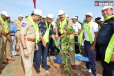 Hyderabad, Police officials, telangana police plant saplings, Up dgp