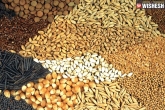 Telangana, Telangana, telangana soon to export seeds to european countries, Seeds