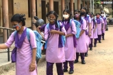 Telangana schools and colleges reopening, Telangana schools and colleges reopening, telangana schools and colleges to reopen from september 1st, September 12
