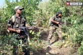 Terrorists, Telangana crime stories, terror hunt across nalgonda district, Suryapet