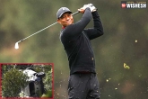 Tiger Woods car, Tiger Woods car crash, after a major car crash tiger woods undergoes surgery, Tiger woods