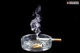 smoking, smoking, j k lung cancer capital of india, No smoking