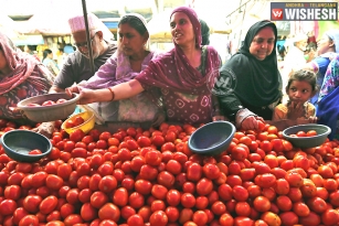 Tomato Price To be High till August End