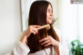 Triphala for Hair new breaking, Hair, benefits of triphala for hair, T news