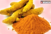 turmeric can cure oral and cervical cancers, How to treat oral cancers, turmeric fights against oral and cervical cancers, Treating