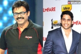 Venkatesh next movie, Venkatesh, venky and chaitu to team up, Venkatesh new movie