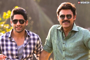 Venkatesh and Naga Chaitanya ready to test their luck?