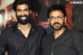Suresh Babu, Venky and Rana project updates, venky and rana in a spanish remake, Netflix