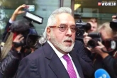 Vijay Mallya UK court, Vijay Mallya UK court, vijay mallya not coming to india soon, Extradition case