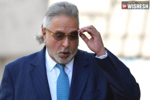 Vijay Mallya&#039;s Jet Auctioned For Rs 35 Cr
