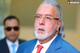 Vijay Mallya news, Vijay Mallya news, vijay mallya could be back to india in 28 days, Vijay mallya