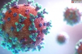 Coronavirus updates, WHO latest, who warns about an infectious new variant of coronavirus, Coronavirus