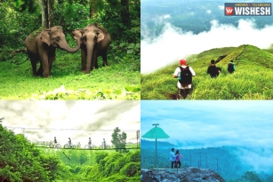 Wayanad - The Nature’s Abode