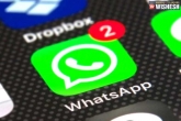 WhatsApp, WhatsApp privacy features, whatsapp updates on privacy policy row, Whatsapp