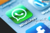 iPhone And Android Phones, Text-Based Status, whatsapp rolls out new update to make status feature interesting, Android 4 2