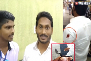 YS Jagan Attacked In Vizag Airport