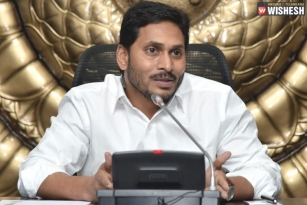 YS Jagan Just Bothered About Local Body Polls