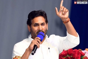 YS Jagan hints of early elections