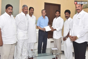 YS Jagan Meets Governor Narasimhan