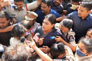 YS Sharmila Creates Ruckus: Granted Bail