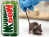 US resident, Dennis Ruth, us resident claim damages on pepsi after finding small mouse inside mountain dew can, Pepsi