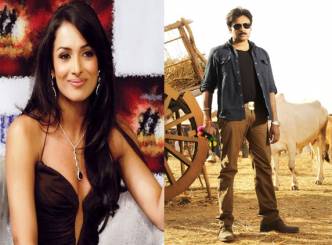 Bollywood sexy actress Malaika is the Gabbar Singh&rsquo;s Item Girl!