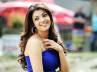 kajal nayak movie, kajal nayak movie, kajal not able to enjoy the success completely, Latest gallery