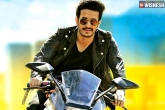 Akhil next film, Akhil next film, akhil 2nd movie is that bollywood remake, Bollywood remake