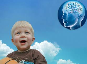 Brain fondles the toddler more than heart