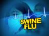 23-year-old pregnant woman, Vizag government hospital., vizag first swine flu death, Vizag government hospital
