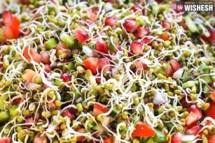 All about the nutritious benefits of Sprouts