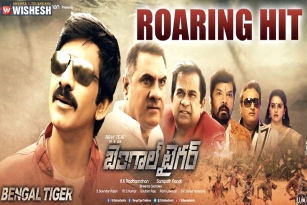 Bengal Tiger slashes conflicts between Pawan and Sampath!