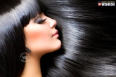 beauty tips, beauty tips, 3 homemade recipes for black shining hair, Hair tips