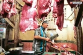 bull slaughter, slaughter of animals, ban on bull slaughter continues on eid too, Bull slaughter