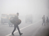 cold wave in Andhra Pradesh, weather fore cast, cold wave sweeps ap 3 killed, Lamb