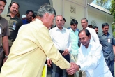 Chandrababu Naidu sacrifices Warangal elections, Warangal bypolls, naidu to sacrifice warangal by polls for kcr, Warangal bypolls